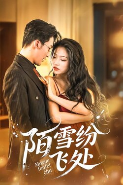 陌雪纷飞处封面图