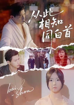 从此相知同白首封面图
