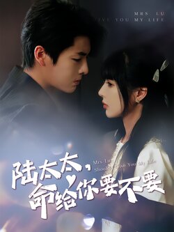 陆太太，命给你要不要封面图