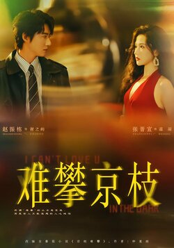 难攀京枝封面图