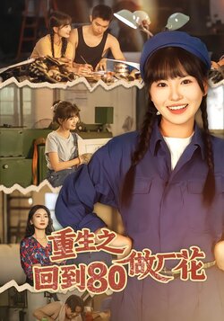 重生之回到80做厂花封面图