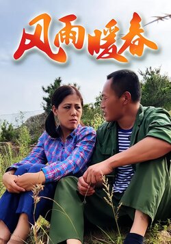 风雨暖春封面图