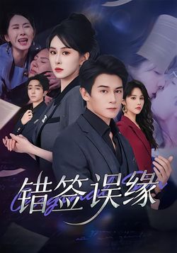 错签误缘封面图