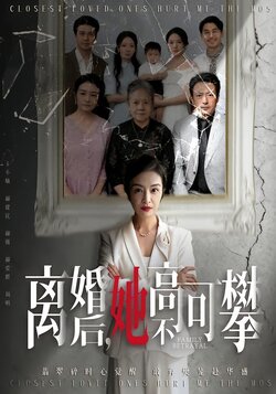 离婚后，她高不可攀封面图