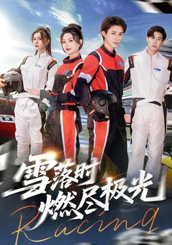 雪落时燃尽极光封面图