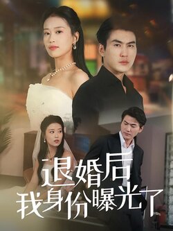 退婚后我身份曝光了封面图