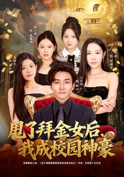 甩了拜金女后，我成校园神豪封面图