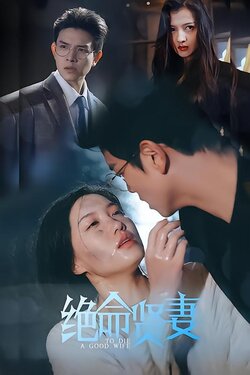 绝命贤妻封面图