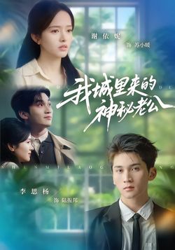 我城里来的神秘老公封面图