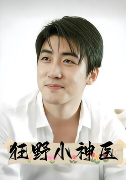 狂野小神医封面图