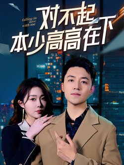 对不起本少高高在下封面图