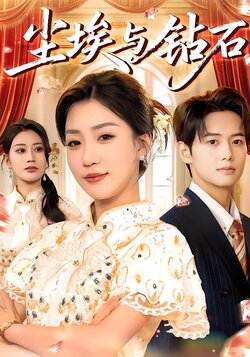 尘埃与钻石封面图