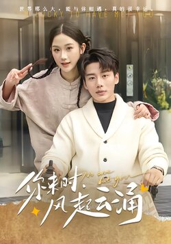 你来时，风起云涌封面图