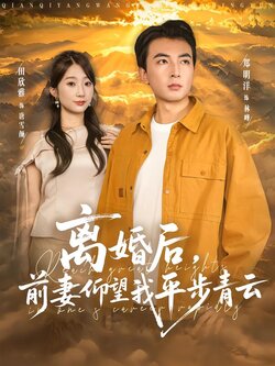 离婚后，前妻仰望我平步青云封面图
