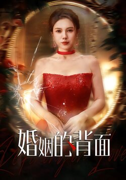 婚姻的背面封面图