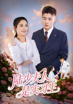 陆少夫人是实习生封面图