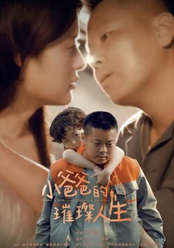 小爸爸的璀璨人生封面图