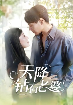 天降钻石老婆封面图