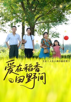 爱在稻香田野间封面图