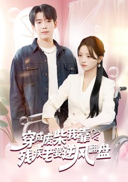 穿成废柴我靠残疾老婆逆风翻盘封面图