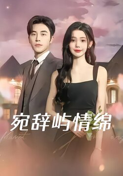 宛辞屿情绵封面图