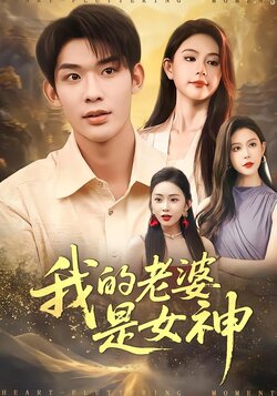我的老婆是女神封面图