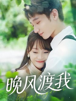 晚风渡我封面图