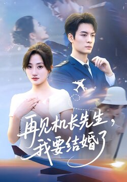 再见机长先生，我要结婚了封面图