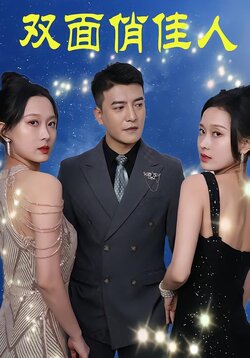 双面俏佳人封面图