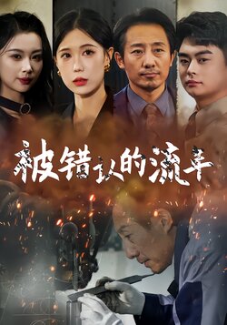 被错认的流年封面图