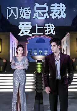 闪婚总裁爱上我封面图