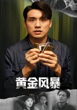 黄金风暴封面图