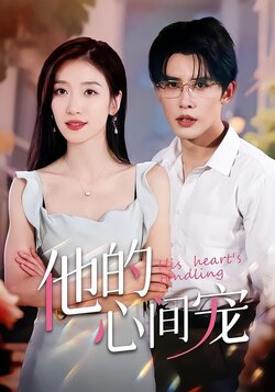 他的心间宠封面图