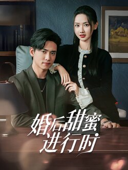 婚后甜蜜进行时封面图