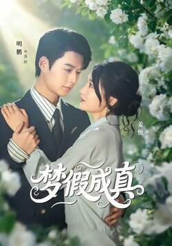 梦假成真封面图
