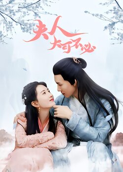 夫人，大可不必封面图