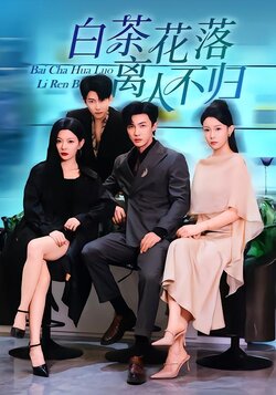 白茶花落离人不归封面图