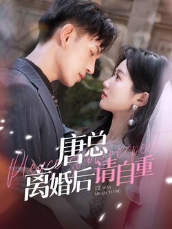 唐总离婚后请自重封面图