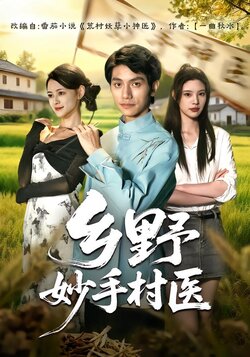 乡野妙手村医封面图