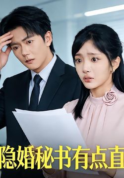 隐婚秘书有点直封面图