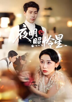 夜明照怜星封面图