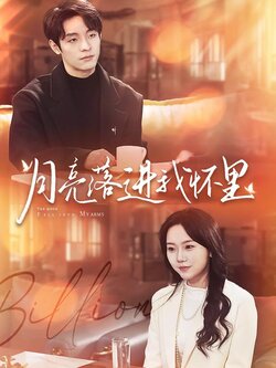 月亮落进我怀里封面图