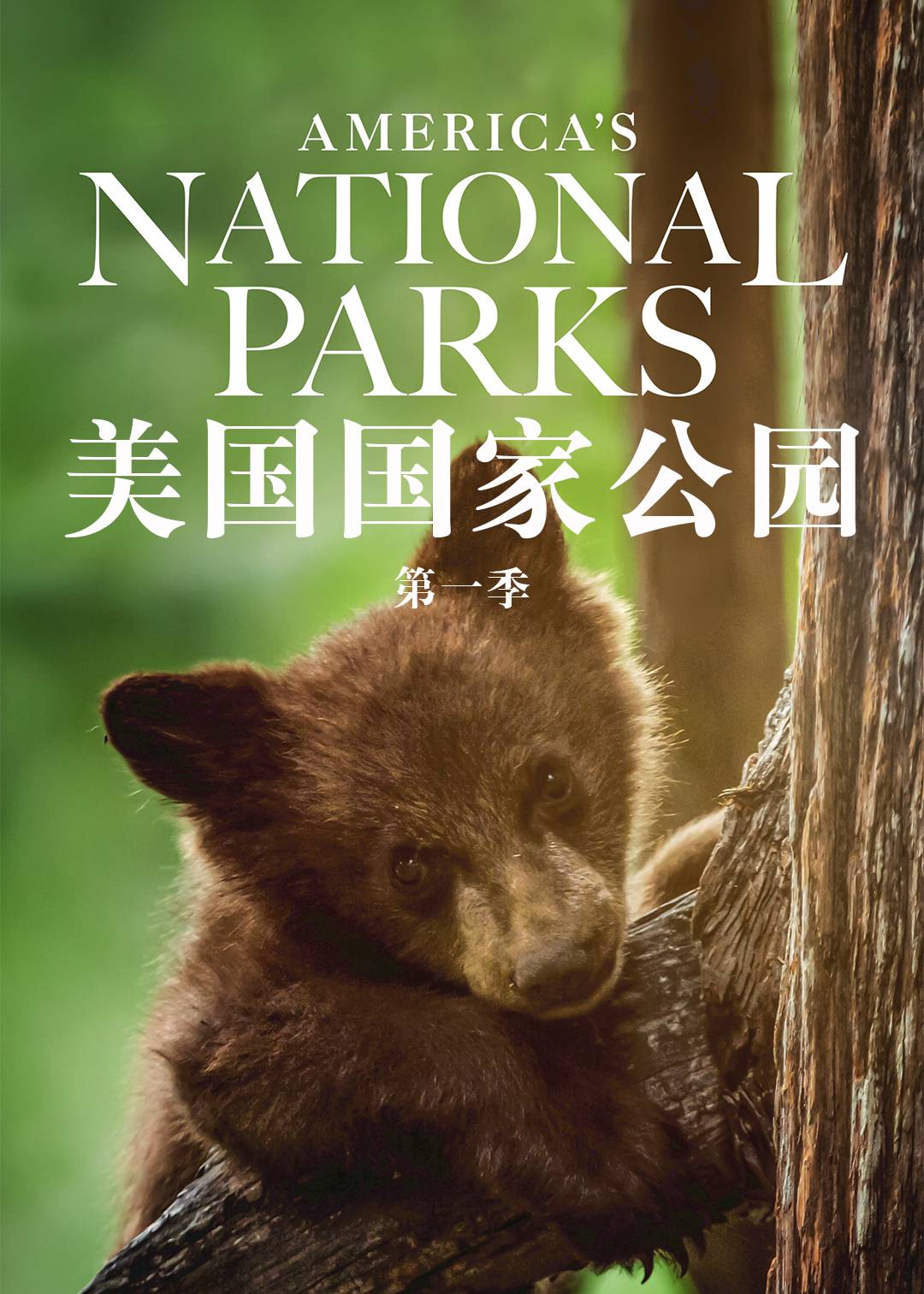 美国国家公园第一季封面图