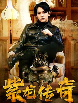 紫龙传奇封面图