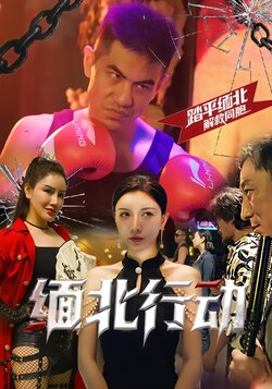 缅北行动封面图