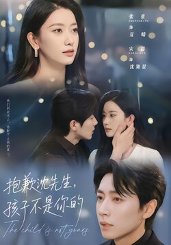 抱歉沈先生，孩子不是你的封面图