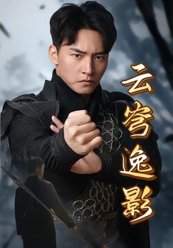云穹逸影封面图