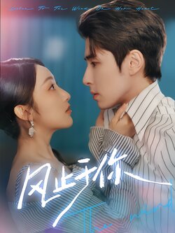 风止于你封面图