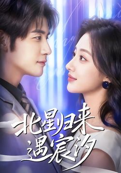 北星归来遇宸汐封面图