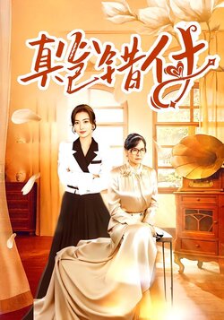 真心已错付封面图